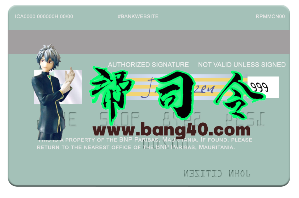 图片[2]-毛里塔尼亚法国巴黎银行Visa借记卡PSD模板