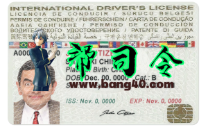 国际驾驶执照模板（PSD格式）v1INTERNATIONAL driving license Template in PSD Format v1-帮司令