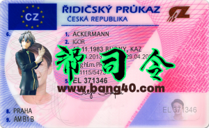东欧捷克共和国驾驶执照 PSD 模板Eastern Europe Czech Republic Driving License PSD Template-帮司令