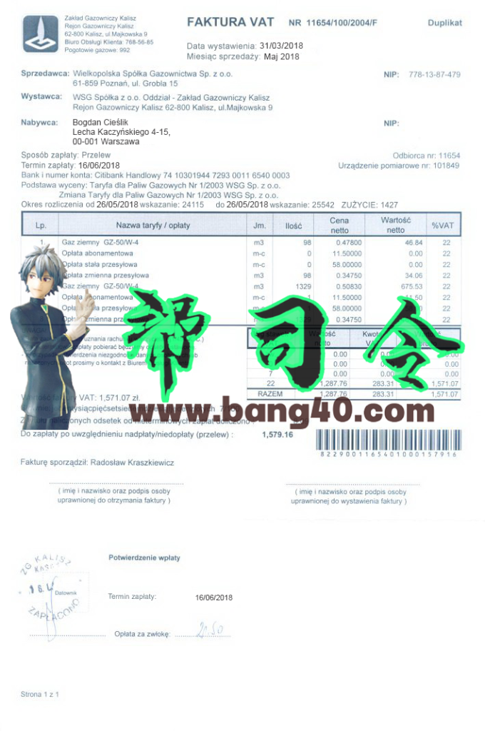 波兰 PSD 格式的水电费账单模板 V4