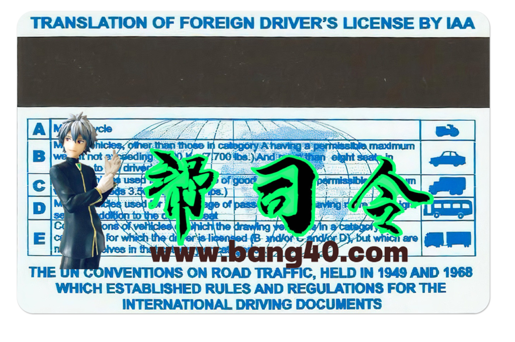 图片[2]-国际驾驶执照模板（PSD格式）v1