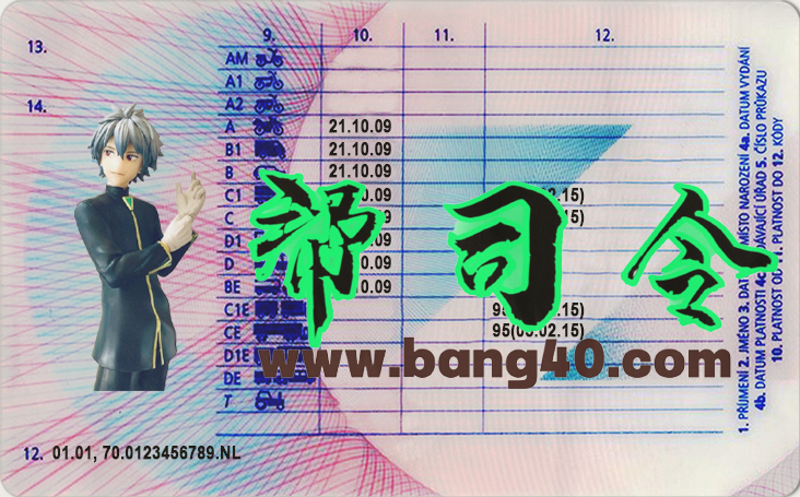 图片[2]-东欧捷克共和国驾驶执照 PSD 模板