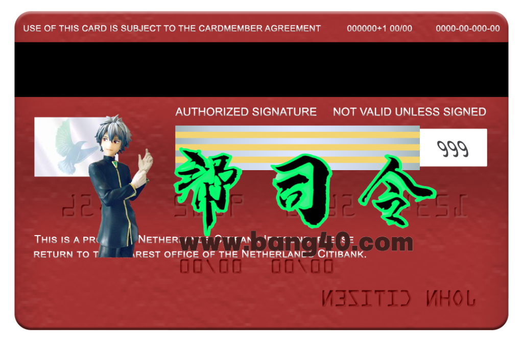 图片[2]-荷兰花旗银行Visa经典卡PSD模板