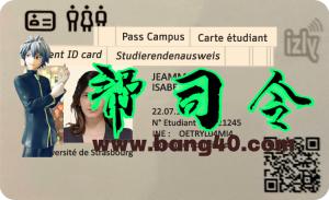 斯特拉斯堡大学学生证PSD模板University De Strasbourg Student ID Card PSD Template-帮司令