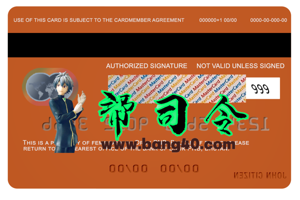 图片[2]-不丹德鲁克PNB银行万事达卡PSD模板