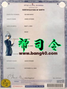 佛罗里达州出生证明 PSD 模板Florida Birth Certificate PSD Template-帮司令