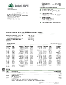 美国马林银行商业报表模板United States Bank of Marin Business Statement Template-帮司令