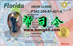 佛罗里达州驾驶执照 PSD 模板 2025 新版 V3 1200DPIFlorida Driving license PSD Template New 2025 V3 1200DPI-帮司令