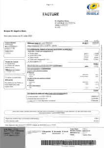 法国邮政移动发票模板(Word 和 PDF 格式)France La Poste Mobile Invoice Template in word and pdf format-帮司令