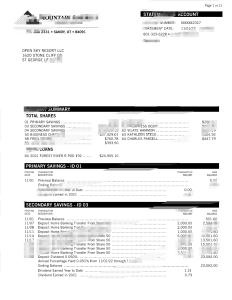 美国山区美国信用合作社账户对账单 word 和 pdf 格式模板American Mountain Credit Union Account Statement Templates in Word and PDF formats-帮司令