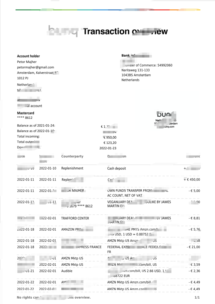 荷兰bunq账户报表模板，Word和PDF格式