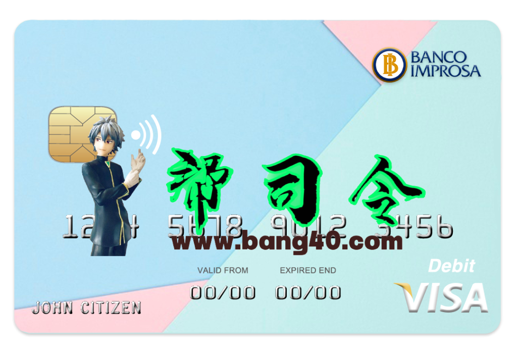 哥斯达黎加 Improsa 银行 Visa 信用卡 PSD 模板