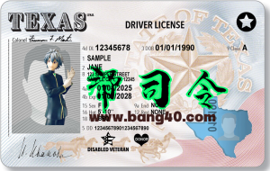 德克萨斯州驾驶执照 PSD 模板 – 2025 年新款Texas Driver License PSD Template – New2025-帮司令