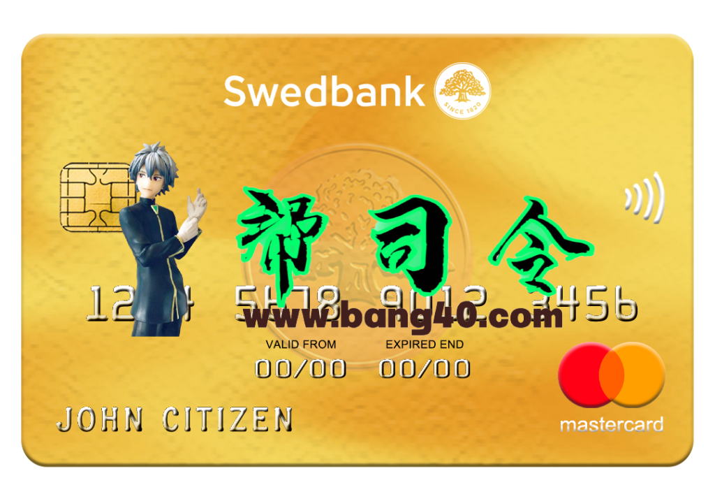 立陶宛瑞典银行万事达卡 PSD 模板