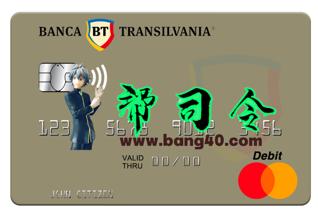 摩尔多瓦银行特兰西瓦尼亚银行万事达卡PSD模板