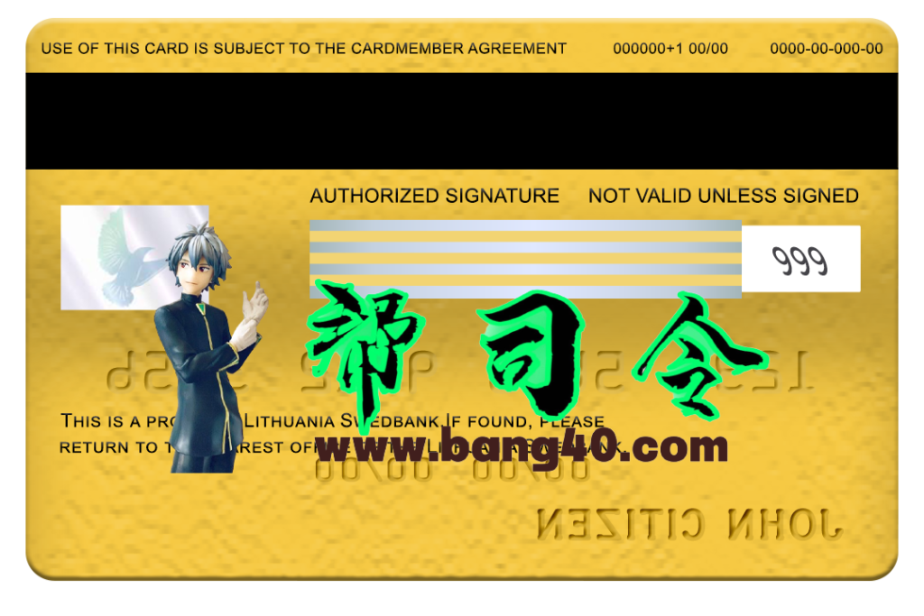 图片[2]-立陶宛瑞典银行万事达卡 PSD 模板