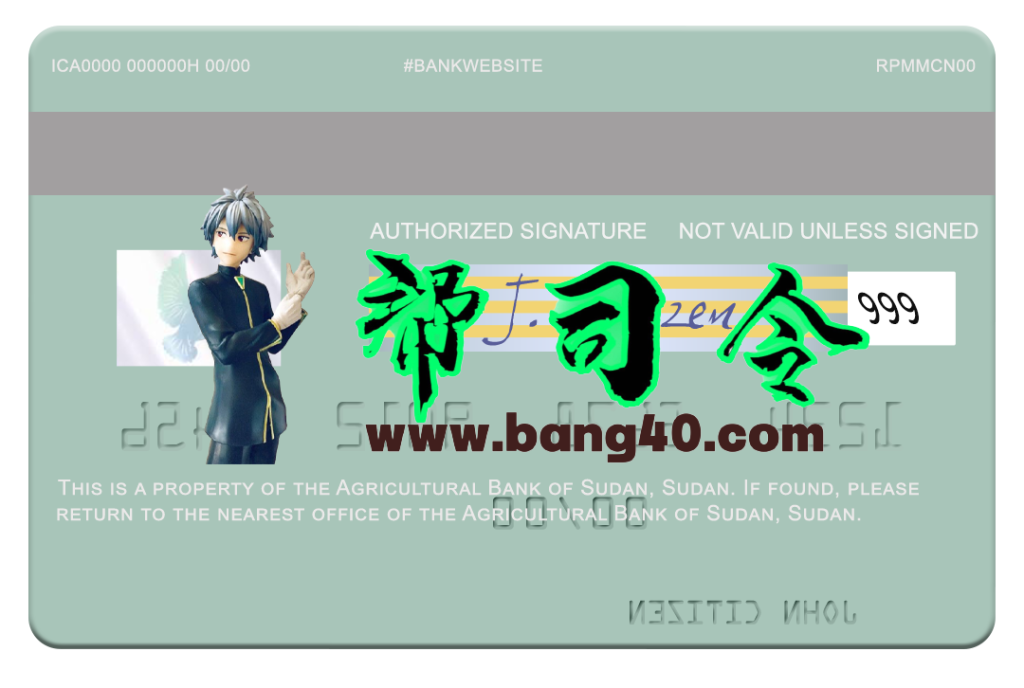 图片[2]-苏丹农业银行 Visa 借记卡 PSD 模板