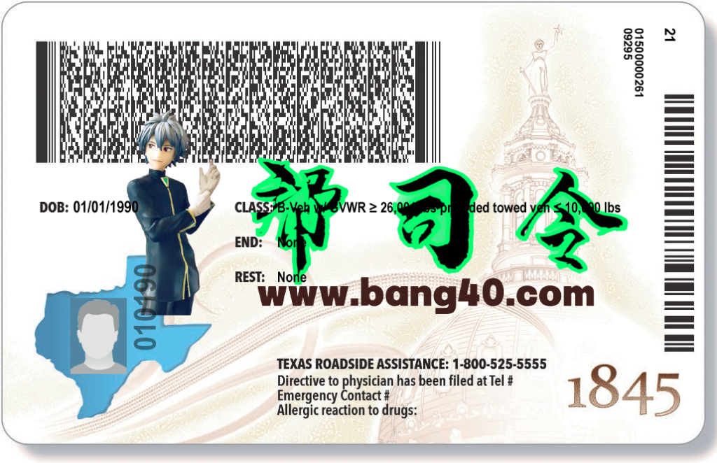 图片[2]-德克萨斯州驾驶执照 PSD 模板 – 2025 年新款