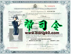 美国公民证书模板（PSD）格式USA Citizenship certificate template in PSD format-帮司令