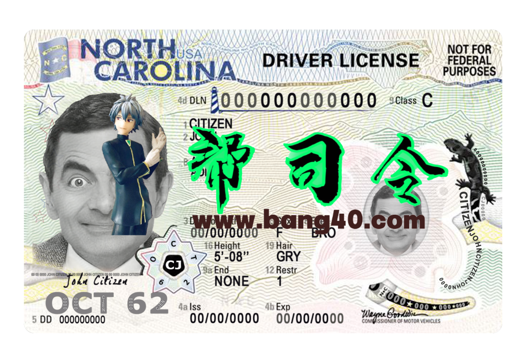 美国北卡罗来纳州驾驶执照 PSD 模板（2024 年至今）