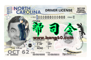 美国北卡罗来纳州驾驶执照 PSD 模板（2024 年至今）USA North Carolina driving license PSD Template (2024-present)-帮司令