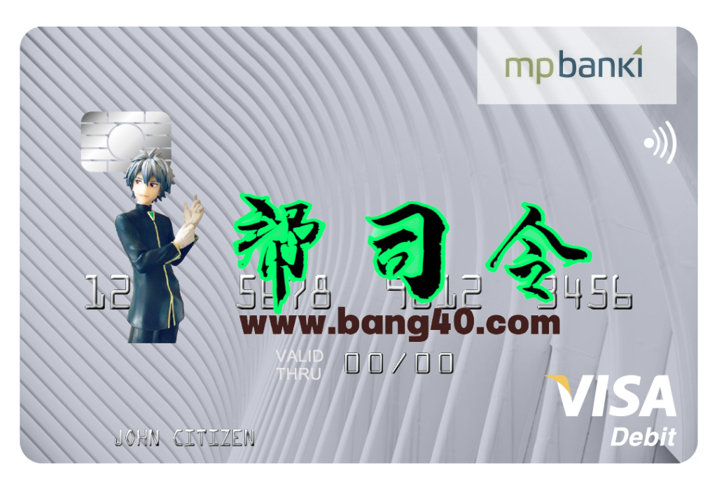 冰岛议员Banki Visa卡PSD模板