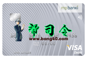 冰岛议员Banki Visa卡PSD模板Iceland MP Banki Visa Card PSD Template-帮司令