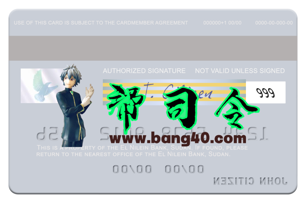 图片[2]-苏丹尼罗河银行 Visa 借记卡 PSD 模板