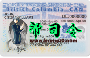 加拿大不列颠哥伦比亚省驾驶执照新PSD模板Canada British Columbia driving license New PSD template-帮司令