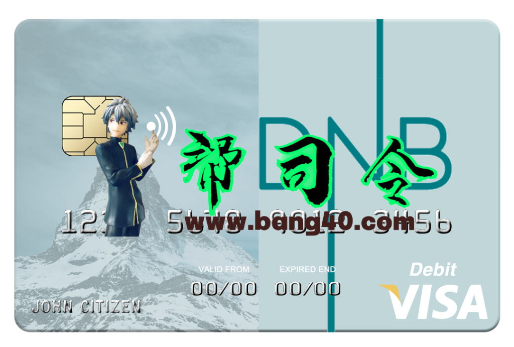 立陶宛DNB银行Visa卡PSD模板