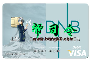 立陶宛DNB银行Visa卡PSD模板Lithuania DNB Bank Visa Card PSD Template-帮司令