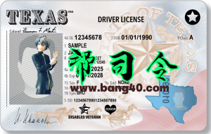 德克萨斯州驾驶执照 PSD 模板 – 2025 年新款Texas Driver License PSD Template – New2025-帮司令