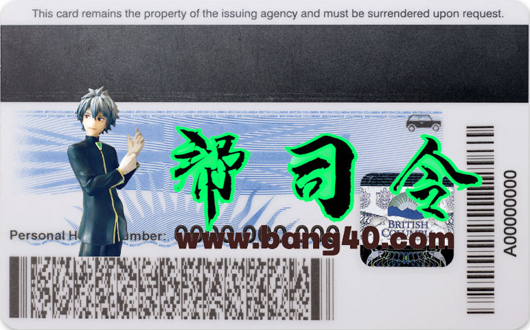 图片[2]-加拿大不列颠哥伦比亚省驾驶执照新PSD模板