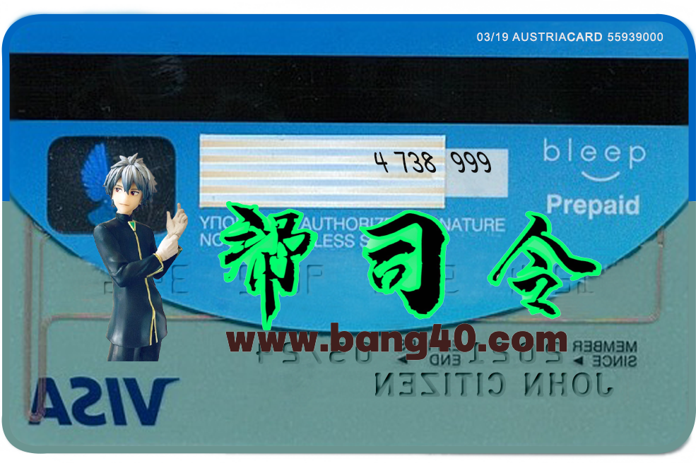 图片[2]-希腊阿尔法银行 Visa 信用卡 PSD 模板（版本 2）