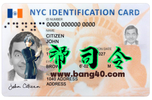 纽约州身份证模板（PSD格式，版本2）New York State ID Template (PSD Format, Version 2)-帮司令