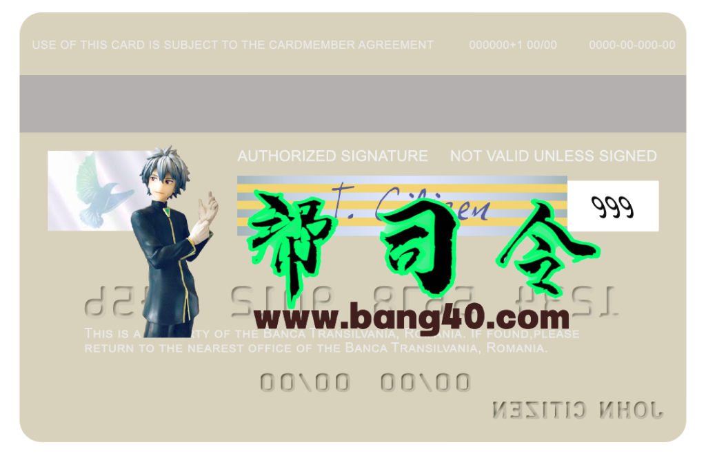 图片[2]-罗马尼亚银行特兰西瓦尼亚签证借记卡PSD模板