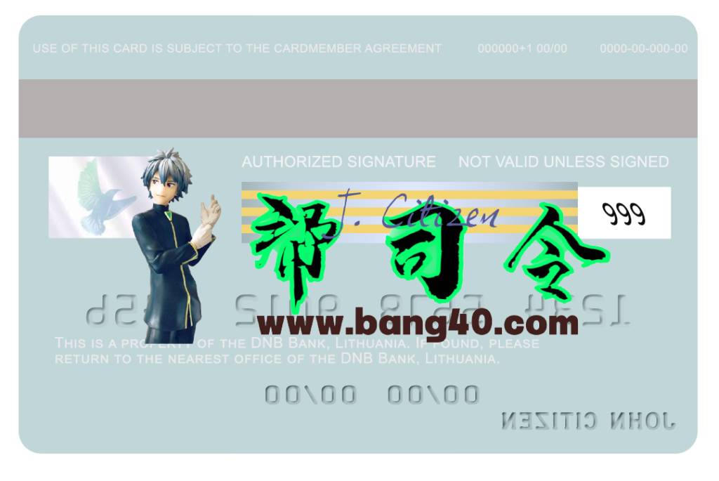 图片[2]-立陶宛DNB银行Visa卡PSD模板