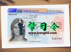 卢森堡居留许可卡 PSD 模板Luxembourg Residence Permit Card PSD Template-帮司令