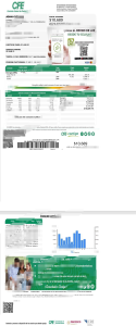 墨西哥联邦电力委员会 (CFE) 公用事业账单 Word 和 PDF 模板(2 页)Mexico Federal Electricity Commission CFE Utility Bill Word And PDF Template (2 pages)-帮司令