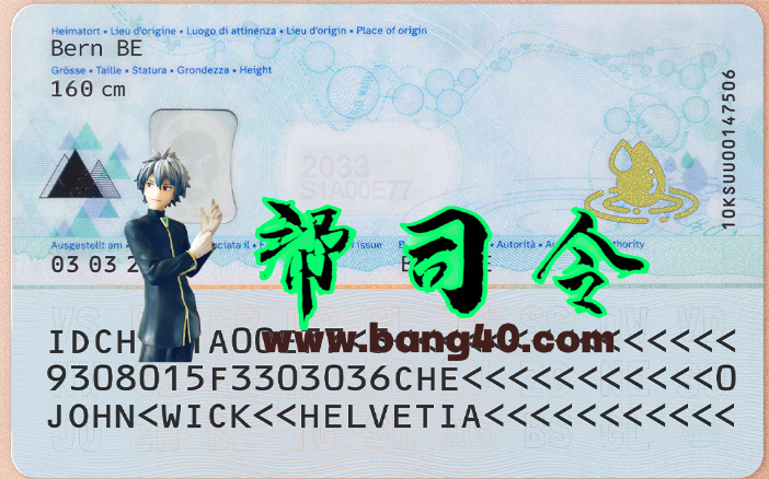 图片[2]-瑞士身份证PSD模板（2025年新版）