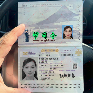 日本2025年最新版护照PSD模板|Japan’s latest 2025 passport PSD template-帮司令