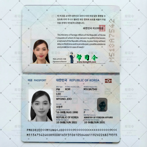 韩国最新版护照PSD模板2021年至今|The latest version of South Korea’s passport from 2021 to present-帮司令