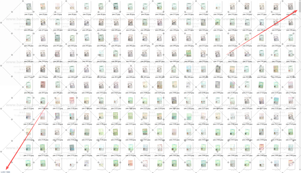 (自动发货)世界各个国家护照高清扫描件5246张|(Automatic delivery) 5246 high-definition scans of passports from various countries around the world