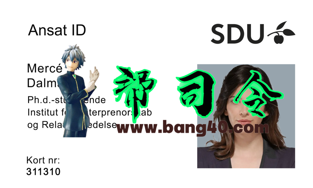 南丹麦大学学生证PSD模板