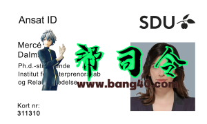 南丹麦大学学生证PSD模板University of Southern Denmark student ID PSD template-帮司令