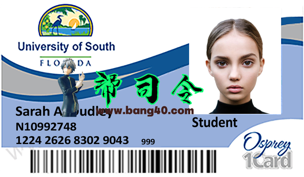 南佛罗里达大学学生证PSD模板