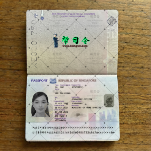 新加坡新版护照PSD模板|Singapore New Passport PSD Template-帮司令
