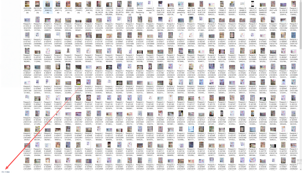 (自动发货)钻石会员免费下菲律宾护照页700张|(Automatic delivery) Diamond members can download 700 Philippine passport pages for free