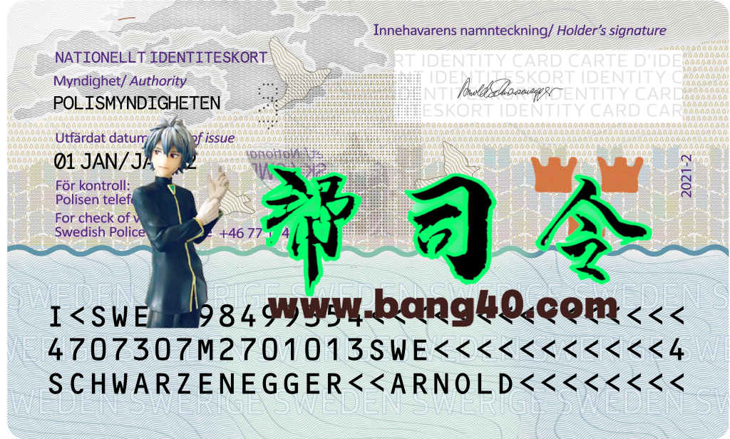 图片[2]-瑞典身份证PSD模板（2025年新版）