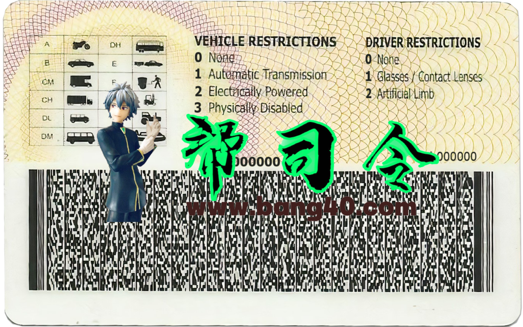 图片[2]-乌干达驾驶执照 PSD 模板